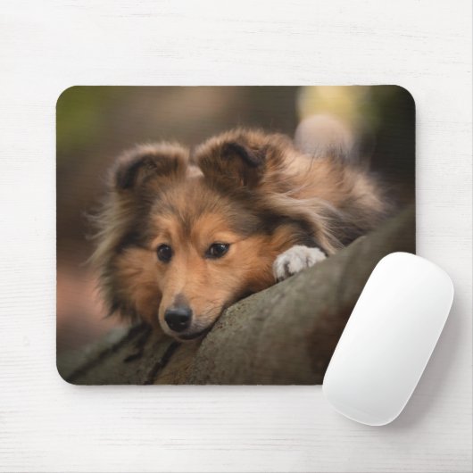 Niedliche Kleintiere | Shetland Sheepdog Welppy Mousepad (Mit Mouse)