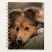 Niedliche Kleintiere | Shetland Sheepdog Welppy Planer (Vorderseite)