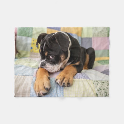 Niedliche Kleintiere | Shi Old English Bulldog Fleecedecke (Vorderseite (Horizontal))