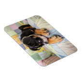 Niedliche Kleintiere | Shi Old English Bulldog Magnet (Rechte Seite)