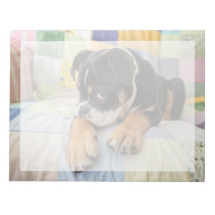 Niedliche Kleintiere   Shi Old English Bulldog Notizblock