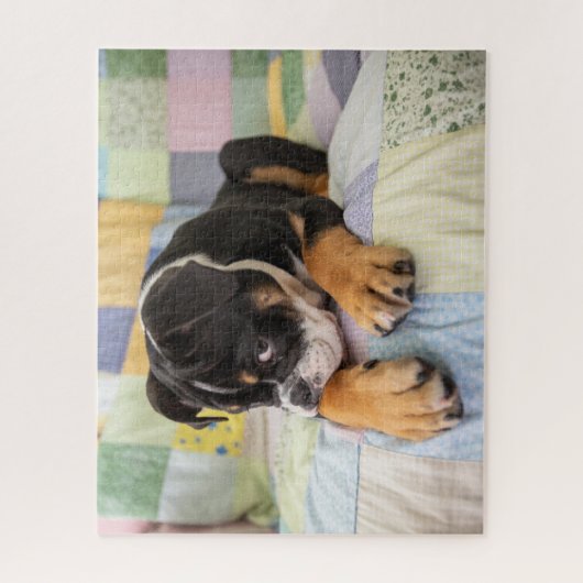 Niedliche Kleintiere | Shi Old English Bulldog Puzzle (Vertikal)