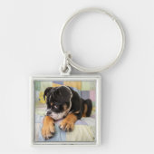 Niedliche Kleintiere | Shi Old English Bulldog Schlüsselanhänger (Vorne)