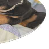 Niedliche Kleintiere | Shi Old English Bulldog Schneidebrett (Ecke)