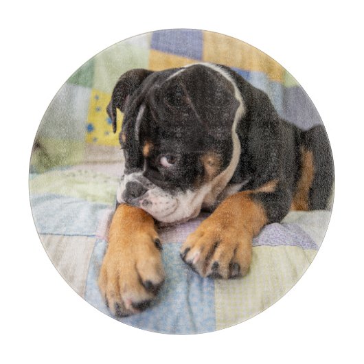 Niedliche Kleintiere | Shi Old English Bulldog Schneidebrett (Vorderseite)