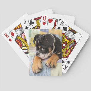 Niedliche Kleintiere Shi Old English Bulldog Spielkarten
