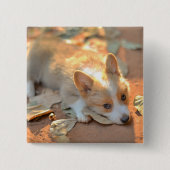 Niedliche Kleintiere | Shy Corgi Button (Vorderseite)