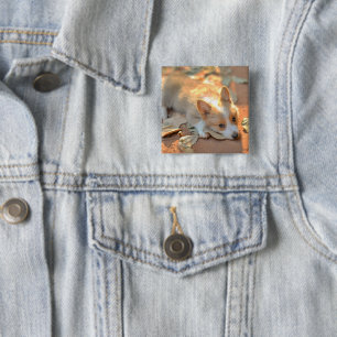 Niedliche Kleintiere   Shy Corgi Button