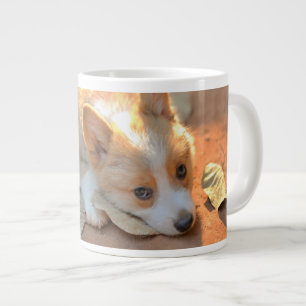 Niedliche Kleintiere   Shy Corgi Jumbo-Tasse