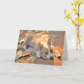 Niedliche Kleintiere | Shy Corgi Karte (Gelbe Blume)
