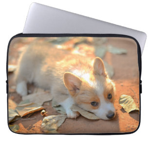 Niedliche Kleintiere Shy Corgi Laptopschutzhülle