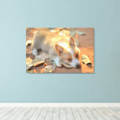 Niedliche Kleintiere | Shy Corgi Leinwanddruck (Insitu (Holzboden))