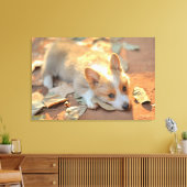 Niedliche Kleintiere | Shy Corgi Leinwanddruck (Insitu (Wohnzimmer))