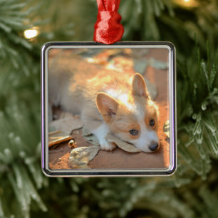 Niedliche Kleintiere Shy Corgi Ornament Aus Metall