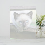 Niedliche Kleintiere | Siamese Kitten (Stehend Vorderseite)