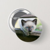 Niedliche Kleintiere | Siamese Kitten 2 Button (Vorne & Hinten)