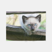 Niedliche Kleintiere | Siamese Kitten 2 Fleecedecke (Vorderseite (Horizontal))