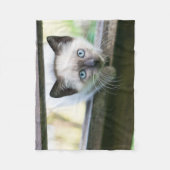 Niedliche Kleintiere | Siamese Kitten 2 Fleecedecke (Vorderseite)