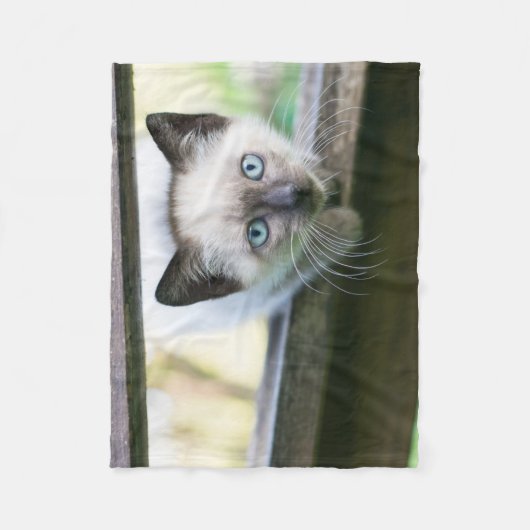 Niedliche Kleintiere | Siamese Kitten 2 Fleecedecke (Vorderseite)