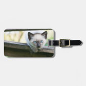 Niedliche Kleintiere | Siamese Kitten 2 Gepäckanhänger (Vorderseite horizontal)