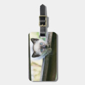 Niedliche Kleintiere | Siamese Kitten 2 Gepäckanhänger (Vorderseite vertikal)