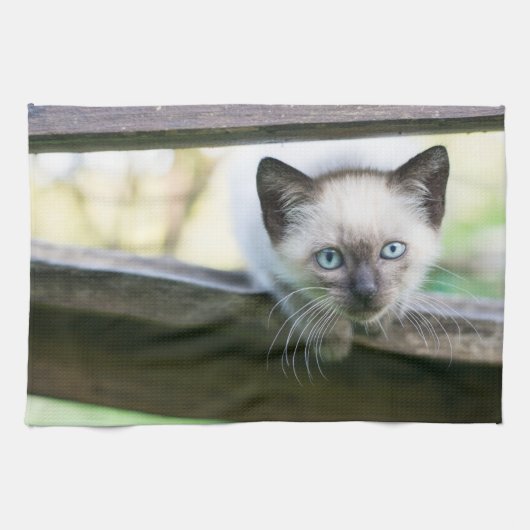 Niedliche Kleintiere | Siamese Kitten 2 Geschirrtuch (Horizontal)