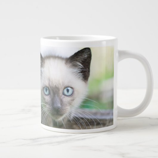 Niedliche Kleintiere | Siamese Kitten 2 Jumbo-Tasse (Rechts)