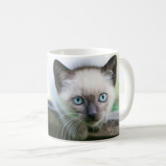 Niedliche Kleintiere | Siamese Kitten 2 Kaffeetasse (VorderseiteRechts)