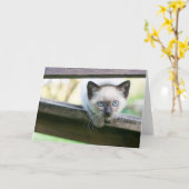 Niedliche Kleintiere | Siamese Kitten 2 Karte (Gelbe Blume)