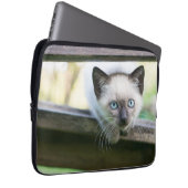 Niedliche Kleintiere | Siamese Kitten 2 Laptopschutzhülle (Vorne Rechts)