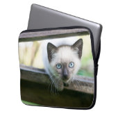 Niedliche Kleintiere | Siamese Kitten 2 Laptopschutzhülle (Vorderseite Links)