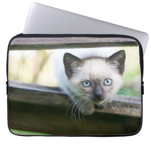 Niedliche Kleintiere Siamese Kitten 2 Laptopschutzhülle