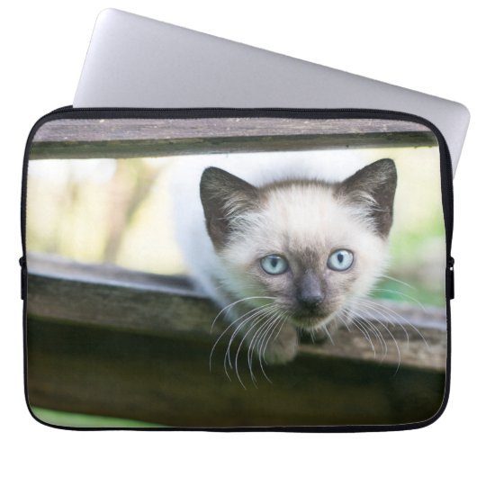 Niedliche Kleintiere | Siamese Kitten 2 Laptopschutzhülle (Vorderseite)