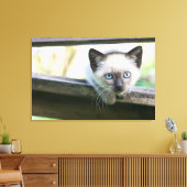 Niedliche Kleintiere | Siamese Kitten 2 Leinwanddruck (Insitu (Wohnzimmer))