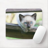 Niedliche Kleintiere | Siamese Kitten 2 Mousepad (Mit Mouse)