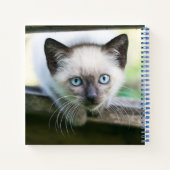 Niedliche Kleintiere | Siamese Kitten 2 Notizblock (Rückseite)