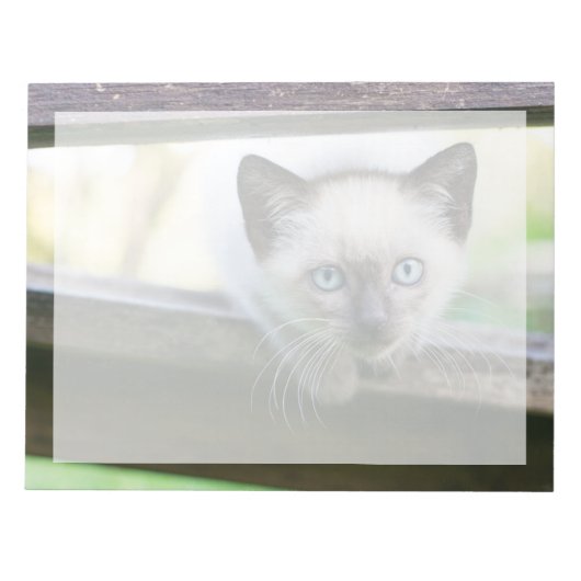 Niedliche Kleintiere | Siamese Kitten 2 Notizblock (Vorderseite)