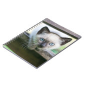Niedliche Kleintiere | Siamese Kitten 2 Notizblock (Linke Seite)