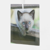 Niedliche Kleintiere | Siamese Kitten 2 Ornament Aus Glas (Vorderseite links)