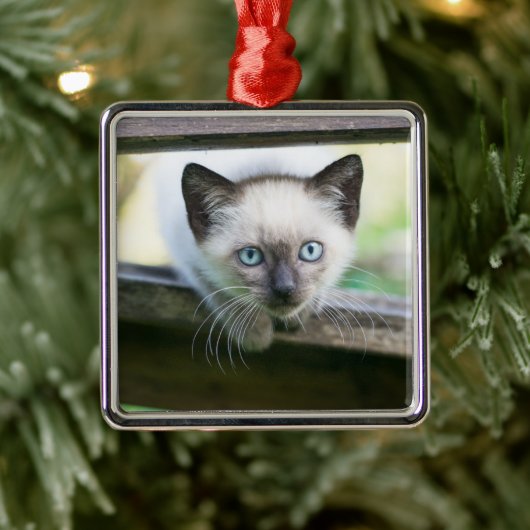 Niedliche Kleintiere | Siamese Kitten 2 Ornament Aus Metall (Baum)