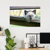 Niedliche Kleintiere | Siamese Kitten 2 Poster (Heimbüro)