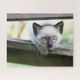 Niedliche Kleintiere   Siamese Kitten 2 Puzzle