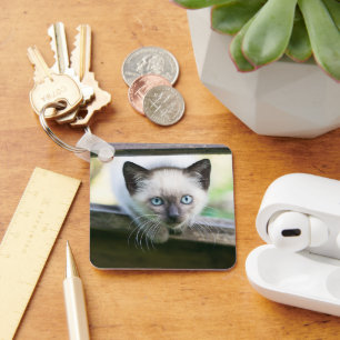 Niedliche Kleintiere Siamese Kitten 2 Schlüsselanhänger