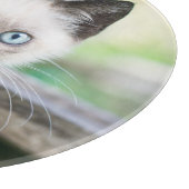 Niedliche Kleintiere | Siamese Kitten 2 Schneidebrett (Ecke)