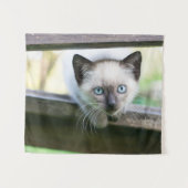 Niedliche Kleintiere | Siamese Kitten 2 Wandteppich (Vorderseite (Horizontal))