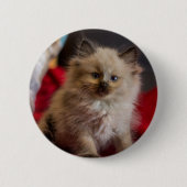 Niedliche Kleintiere | Siamese Kitten Button (Vorderseite)
