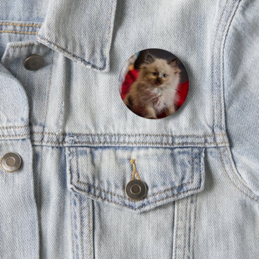 Niedliche Kleintiere | Siamese Kitten Button (Beispiel)