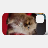 Niedliche Kleintiere | Siamese Kitten Case-Mate iPhone Hülle (Rückseite (Horizontal))