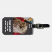 Niedliche Kleintiere | Siamese Kitten Gepäckanhänger (Vorderseite horizontal)