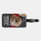 Niedliche Kleintiere | Siamese Kitten Gepäckanhänger (Rückseite horizontal)